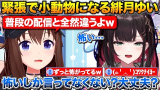 そらちゃんとの対談で緊張して小動物になる緋月ゆい+2人の出会いのきっかけや第一印象と今の印象について【ホロライブ/ネオポルテ/ときのそら/緋月ゆい】