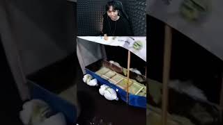Download lagu Bocil Membuat Kapal Sendiri, Keren Banget mp3