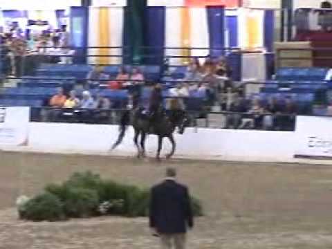 2009 Egyptian Event Western Pleasure Open