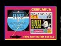EL Vez - Chihuahua