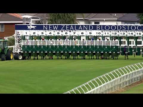 NZ Derby - Ellerslie 05 March 2022 - won by Asterix, La Crique Second