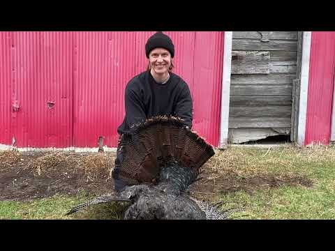 Adults Learn to Turkey Hunt: A Success Story