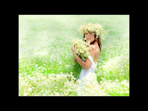 Ніна Матвієнко. Не метелиця лугом стелиться