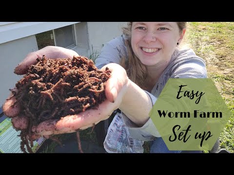 Setting up a Brand New Worm Farm at 6 Months Pregnant!