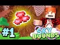 A NEW WORLD BEGINS..! - Skybounds Minecraft Skyblock #1