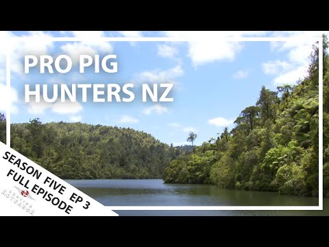 Hunting Aotearoa Series 5 Ep03 Pig Hunting Professionals