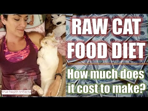 How much does it COST to make Raw Cat Food? - Healthy Cat Tips / Homemade Cat Food