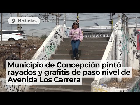 Municipio de Concepción pintó rayados y grafitis de paso nivel de Avenida Los Carrera
