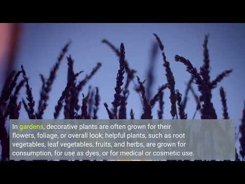 9 Easy Facts About FFXIV Gardening Explained