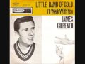 James Gilreath - Little Band Of Gold (1963)