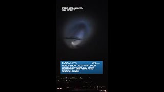 Video shows 'jellyfish cloud' lighting up Tampa Bay after Space X launch