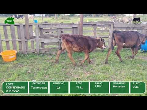 Video del lote L0-000846