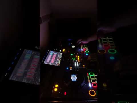 Tepitech vs perreíto🔥🐷