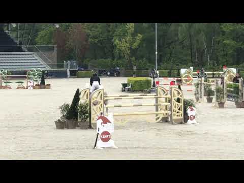 Genève de Muze 1m40 Valkenswaard 2019