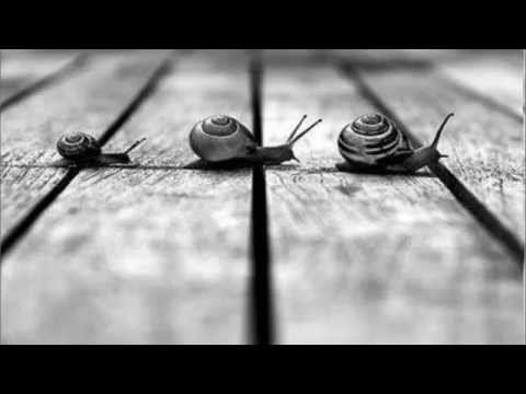 LA FRETTA   Trilussa   voce Paolo Fiorini