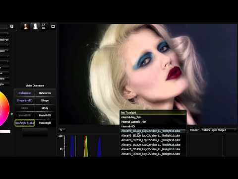Baselight For Avid - Overview Part 2