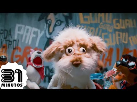El Perro Johnny Choapino - 31 minutos