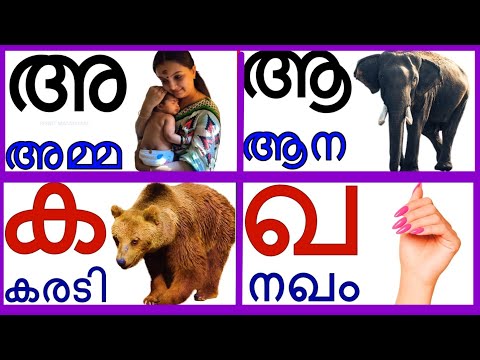 Malayalam alphabets and consonants| മലയാളം സ്വരാക്ഷരങ്ങളും വ്യഞ്ജനാക്ഷരങ്ങളും തുടങ്ങുന്ന വാക്കുകൾ|