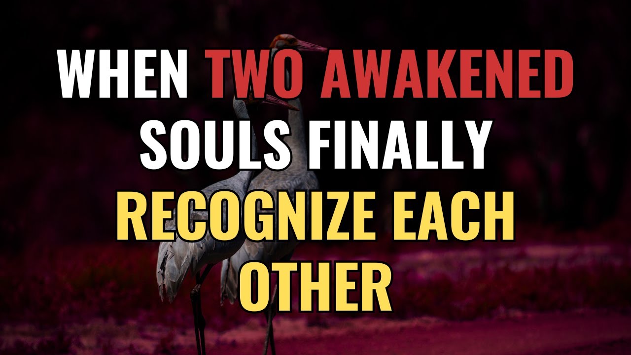 When Two Awakened Souls Finally Recognize Each Other | NPD | Narcissism | BehindTheScience