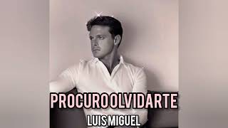 Procuro Olvidarte - Luis Miguel [IA] - [Alejandro Fernández/Hernaldo Zuñiga]