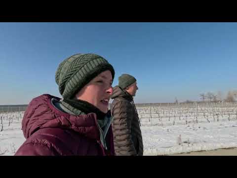 Auf der Weinstraße in der Weinregion Oltenia unterwegs