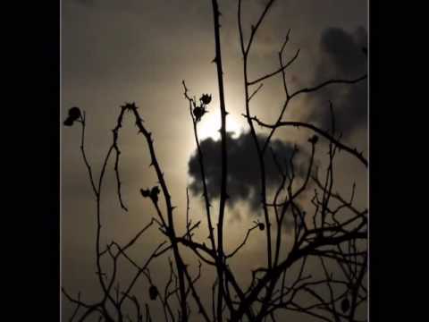 HONZA NEDVĚD -  Dveře