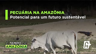 Pecuária na Amazônia: Potencial para um Futuro Sustentável.