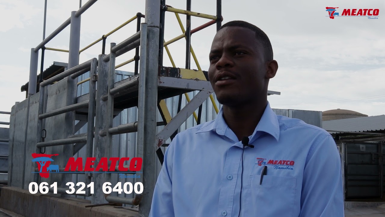 Marketing your Livestock with Meatco made easier.