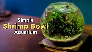 How To: I made a Simple Shrimp Bowl Aquarium (No Filter No CO2 Walstad Style Aquascape Tutorial)