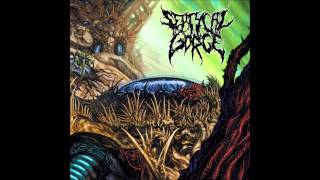 Septycal Gorge-Growing Seeds of Decay (Reissue 2012 HD)