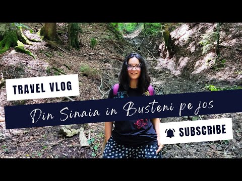 Trasee in Bucegi: La pas din Sinaia spre Busteni pe drum forestier