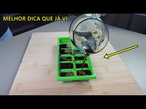 Não jogue fora o café de ontem, faça isso com ele!