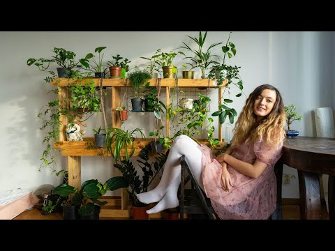 , title : '70 de plante într-un apartament din Cartierul Evreiesc | Plantele din interior | Lovedeco'