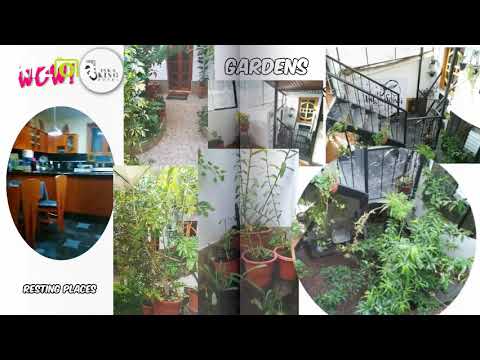 Kizoa Editar Vídeos - Movie Maker: 1er video Inka King