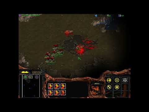 StarCraft-BroodWar (Expansion P3 Zerg) 1 VILE DISRUPTION