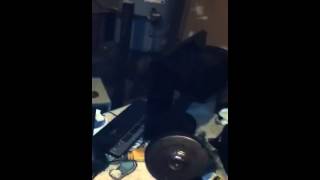 Dooney boy wit ryan ryan