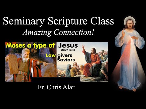 Moses and Jesus: The Meaning of the 10 Plagues - Explaining the Faith w/Fr. Chris Alar