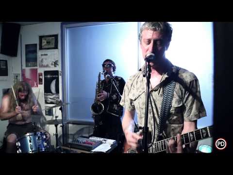 Andy Human & The Reptoids - American Society (Live on PressureDrop.tv)