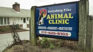 preview picture of video 'Welcome to Gettysburg Pike Animal Clinic | Mechanicsburg, PA'