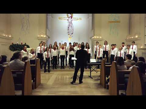 Carol of the Bells M.Leontovych - Chor des Bischöflichen Gymnasiums Graz