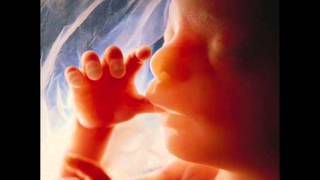 DeathWish-Aborted Fetus