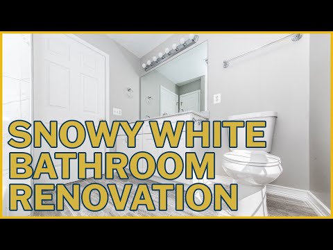 Amir's Guest Bathroom Remodel in Lorton, VA