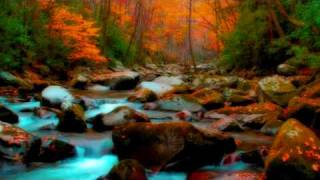 Spirit Of The Wind [Buddha-Bar]