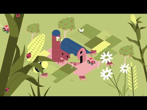 ¿Qué es la agroecología? [subtítulos en español]