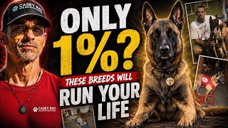 Top 5 Dog Breeds I’d Only Recommend to 1% of People