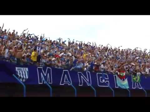 Torcida do Avaí F. C. vibrando.