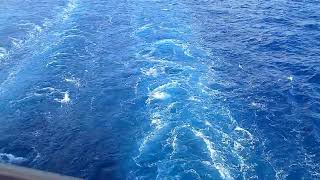 WONDER OF THE SEAS - The CRUISE GIANT'S Wake Leaving Miami (Full Video)