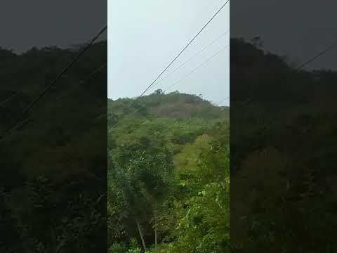 Chuva na Serra de Palmácia CE