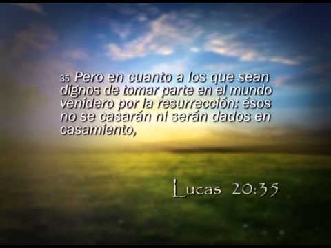 Reavivados por su Palabra - 4/1/2015 - Lucas 20