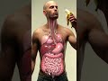Inside Your Gut 3D Animation Of Banana Digestion Parasite Worms